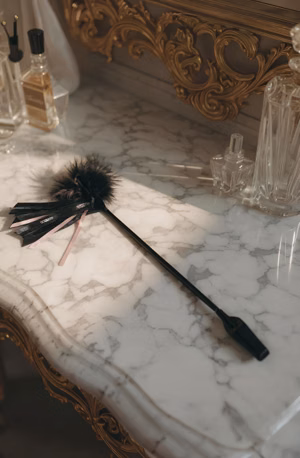 Double Jeu - Martinet avec Plumet