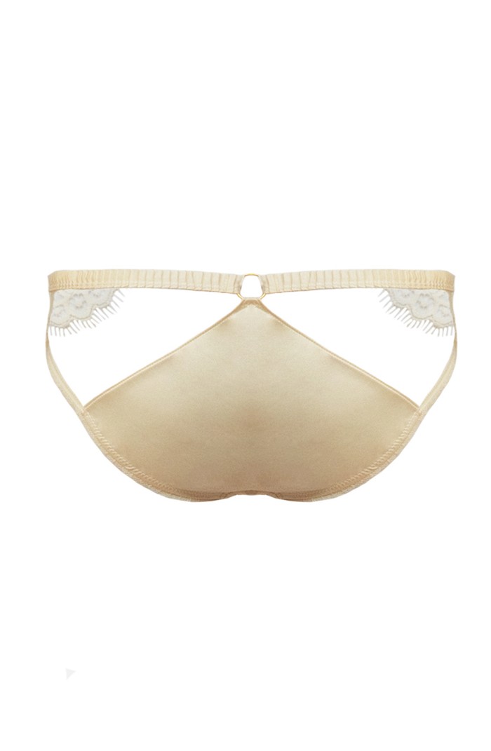 Ambre - Brief